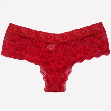 Calcinha Sexy e Confortável em Renda - Blitzen